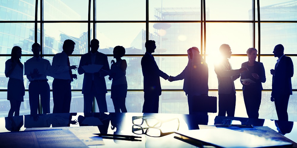 Investor / Analyst Meeting