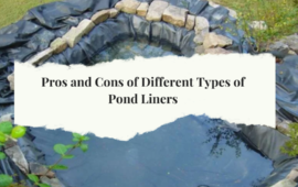 The Pros and Cons of Different Types of Pond Liners